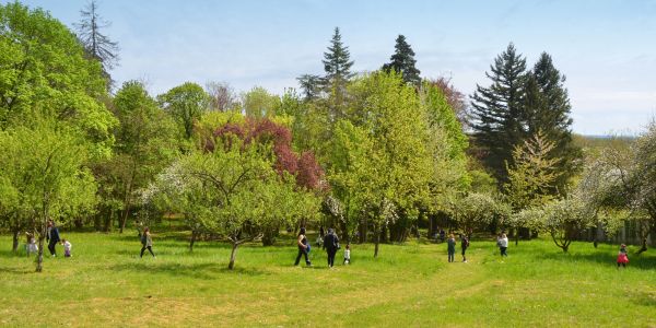 CHASSE AUX OEUFS DE PÂQUES