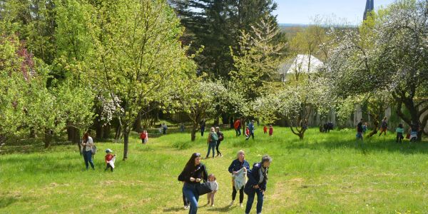 CHASSE AUX OEUFS DE PÂQUES