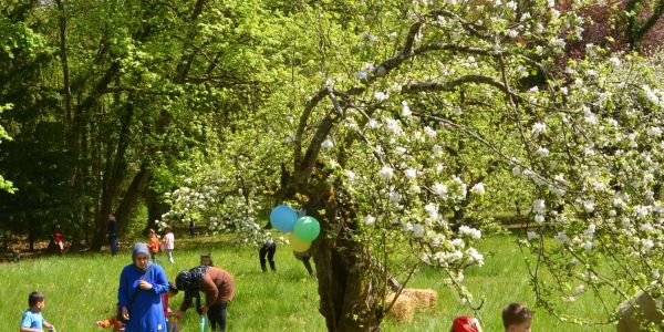 CHASSE AUX OEUFS DE PÂQUES