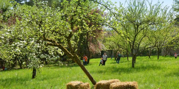 CHASSE AUX OEUFS DE PÂQUES