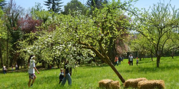CHASSE AUX OEUFS DE PÂQUES
