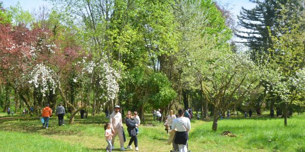 CHASSE AUX OEUFS DE PÂQUES