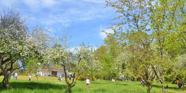 CHASSE AUX OEUFS DE PÂQUES