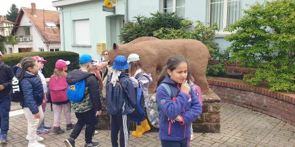 Séjour au Centre de Jeunesse de Baerenthal