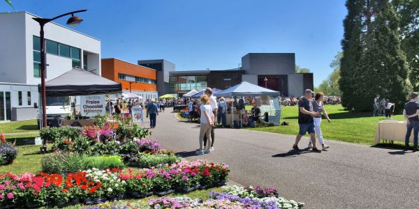 Retour en images sur "Vivons le Printemps" : une fête populaire haute en couleurs à Sarralbe