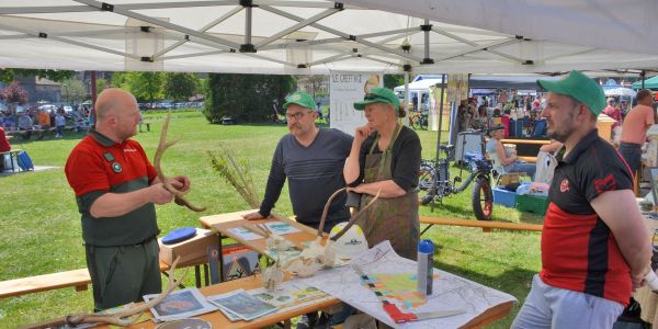Retour en images sur "Vivons le Printemps" : une fête populaire haute en couleurs à Sarralbe