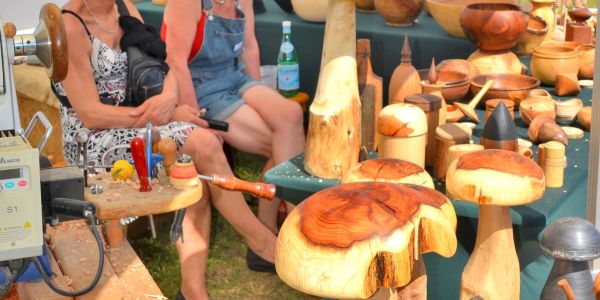 Retour en images sur "Vivons le Printemps" : une fête populaire haute en couleurs à Sarralbe