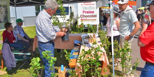 Retour en images sur "Vivons le Printemps" : une fête populaire haute en couleurs à Sarralbe