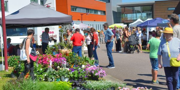 Retour en images sur "Vivons le Printemps" : une fête populaire haute en couleurs à Sarralbe