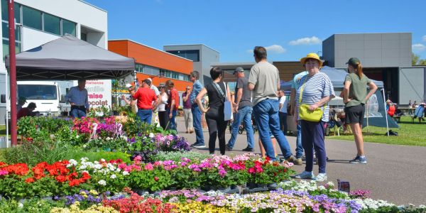 Retour en images sur "Vivons le Printemps" : une fête populaire haute en couleurs à Sarralbe