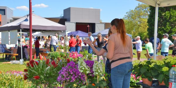 Retour en images sur "Vivons le Printemps" : une fête populaire haute en couleurs à Sarralbe