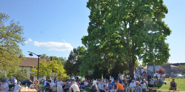Retour en images sur "Vivons le Printemps" : une fête populaire haute en couleurs à Sarralbe