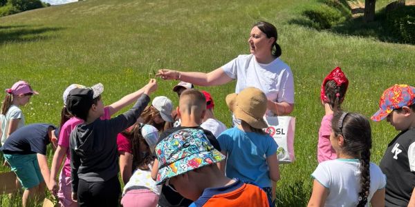 Sortie culturelle à Eschviller pour les classes de CP, CE1 et CE2 du groupe scolaire Schuman