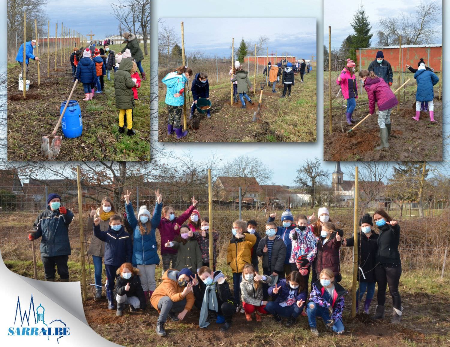 Plantation d'arbres par les élèves des écoles