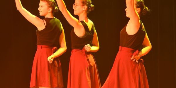 Gala de danse de l'EMDS