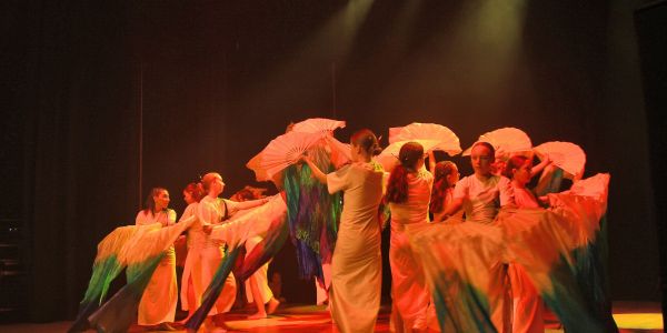Gala de danse de l'EMDS