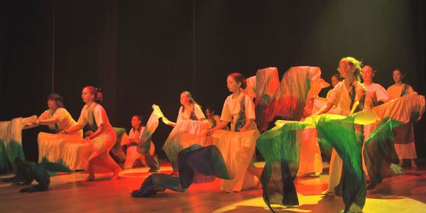 Gala de danse de l'EMDS