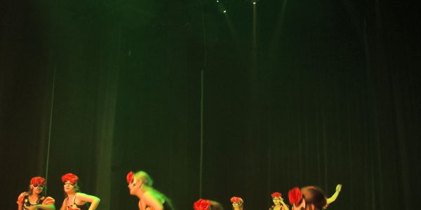 Gala de danse de l'EMDS
