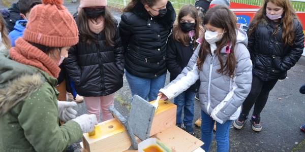 Les enfants viennent en aide aux mésanges