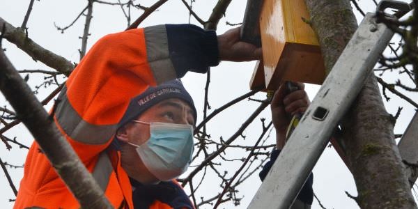 Les enfants viennent en aide aux mésanges