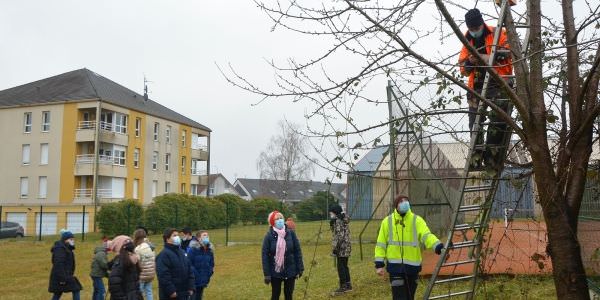 Les enfants viennent en aide aux mésanges