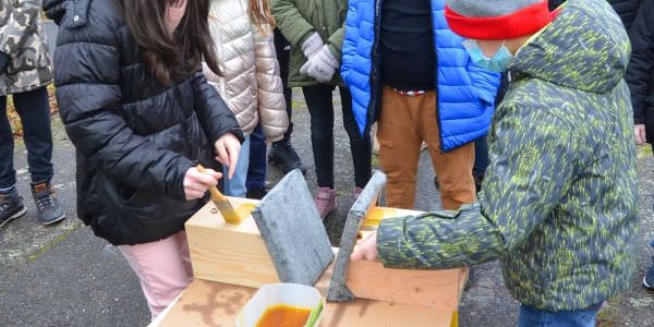 Les enfants viennent en aide aux mésanges