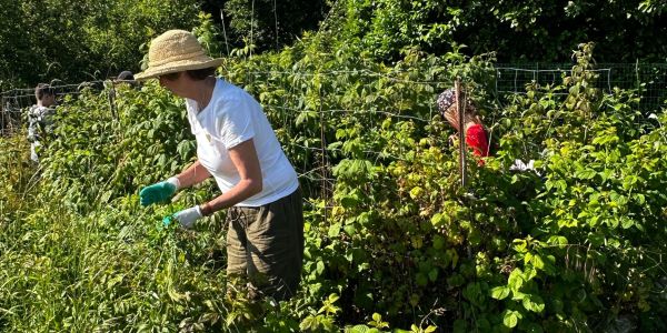 Quand les générations se retrouvent au jardin partagé…