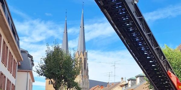 Intervention des Sapeurs-Pompiers Animaliers