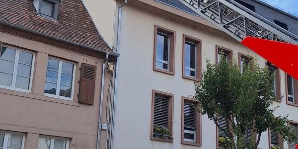 Intervention des Sapeurs-Pompiers Animaliers