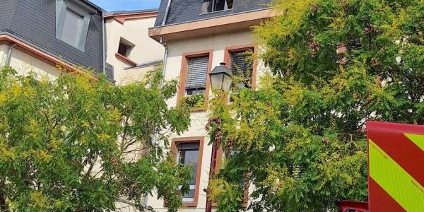 Intervention des Sapeurs-Pompiers Animaliers