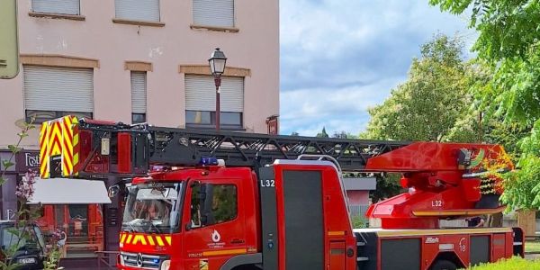 Intervention des Sapeurs-Pompiers Animaliers