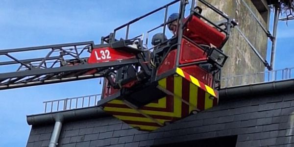 Intervention des Sapeurs-Pompiers Animaliers