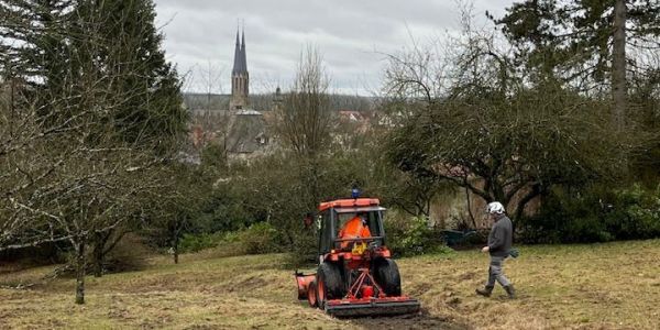 Futur parc municipal : intervention sur la végétation