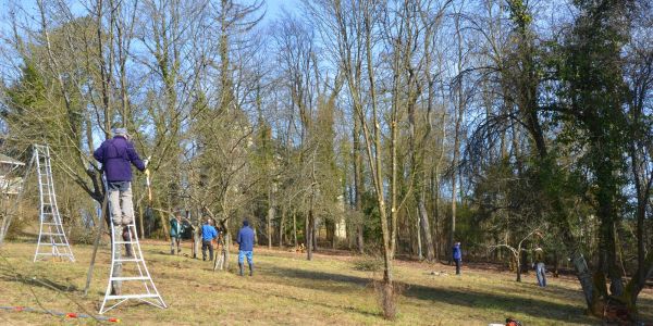 Futur parc municipal : intervention sur la végétation