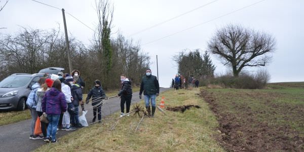 Plantation d'arbres fruitiers avec nos écoles