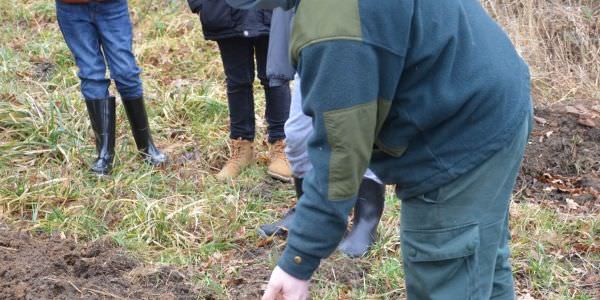 Plantation d'arbres fruitiers avec nos écoles