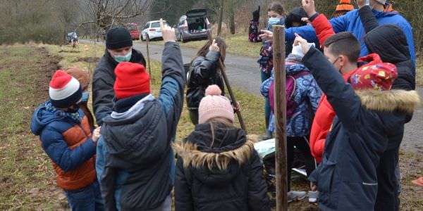 Plantation d'arbres fruitiers avec nos écoles