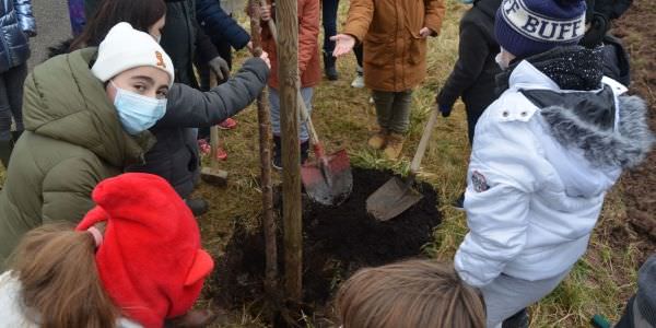 Plantation d'arbres fruitiers avec nos écoles