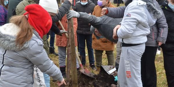 Plantation d'arbres fruitiers avec nos écoles