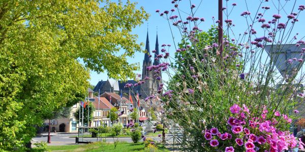 LES FLEURS ESTIVALES DE SARRALBE : ÉCLATS DE BEAUTÉ AU COEUR DE LA CHALEUR