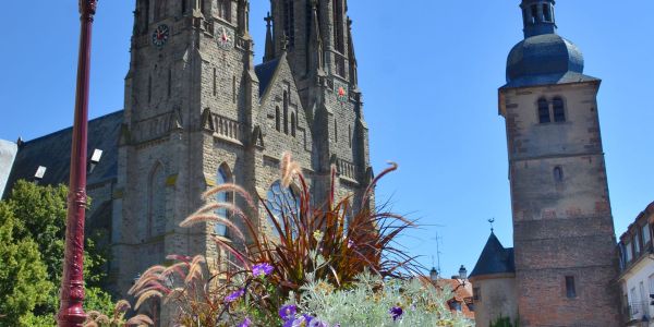 LES FLEURS ESTIVALES DE SARRALBE : ÉCLATS DE BEAUTÉ AU COEUR DE LA CHALEUR