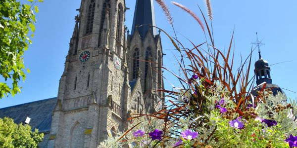 LES FLEURS ESTIVALES DE SARRALBE : ÉCLATS DE BEAUTÉ AU COEUR DE LA CHALEUR