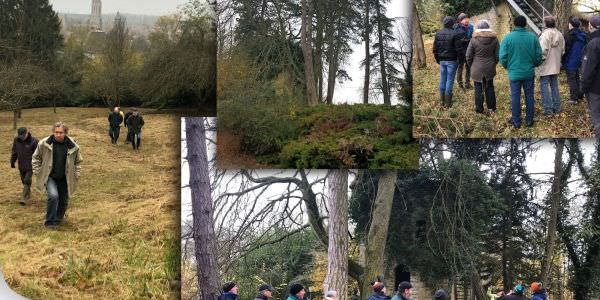 Le conseil municipal en sortie forêt et visite du futur parc public