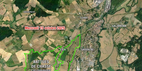 ATTENTION BATTUES DE CHASSE - Lot N°3