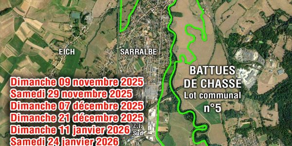 Battues de chasse - Lot N° 5