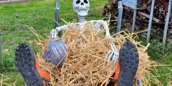 Une après-midi d’Halloween pleine de rires et de malice