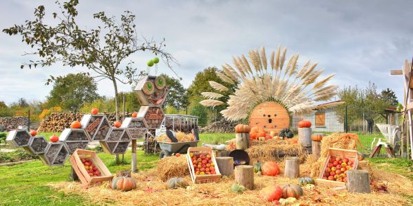 Une après-midi d’Halloween pleine de rires et de malice