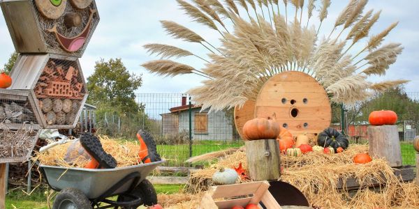 Une après-midi d’Halloween pleine de rires et de malice