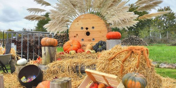 Une après-midi d’Halloween pleine de rires et de malice