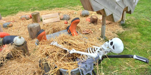 Une après-midi d’Halloween pleine de rires et de malice